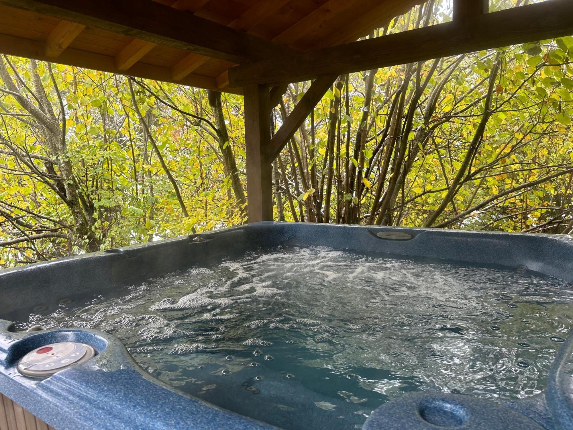Chalet Adonis - Montriond, Morzine, Avoriaz Exterior photo